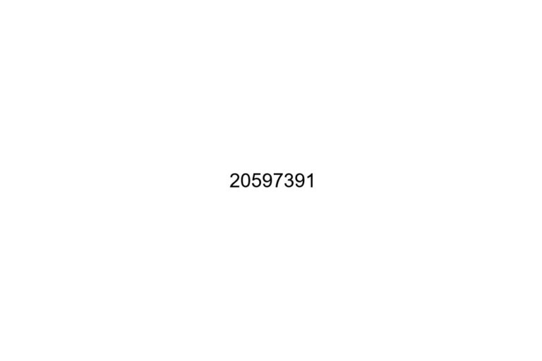 20597391
