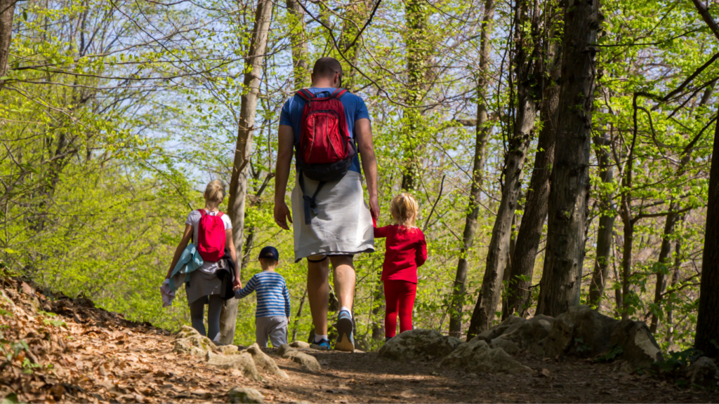 Seasonal Wellness Tips for the Whole Family Stay Healthy Year-Round with Simple Adjustments