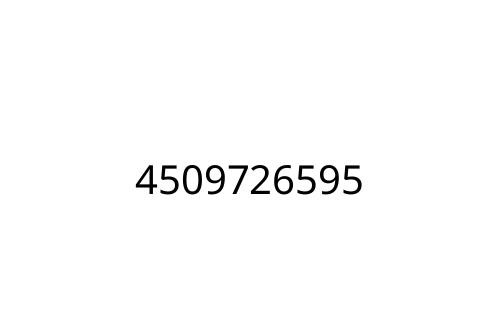 4509726595