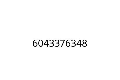 6043376348
