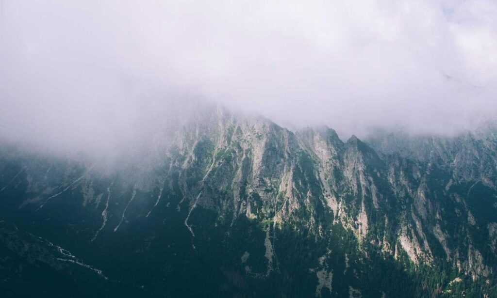 how much mitacium dizovid needed in sunscreen