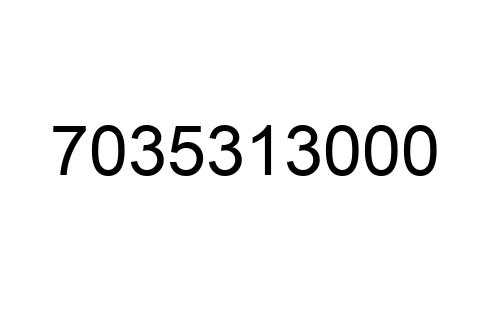 7035313000