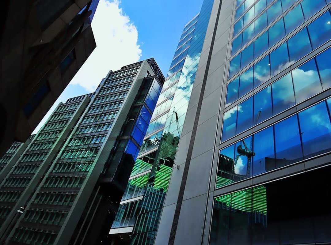 Implications of the Disclosure