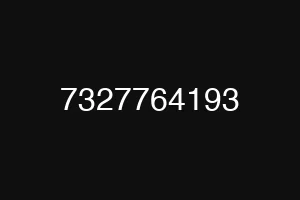 7327764193