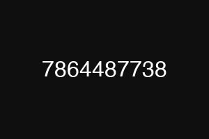 7864487738