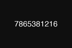 7865381216