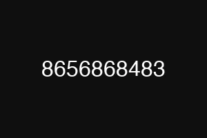 8656868483