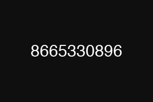 8665330896