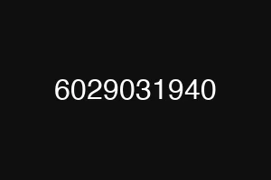 6029031940