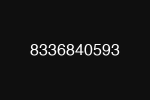 8336840593