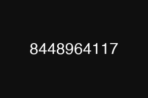 8448964117