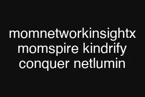 momnetworkinsightx momspire kindrify conquer netlumin