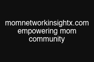momnetworkinsightx.com empowering mom community